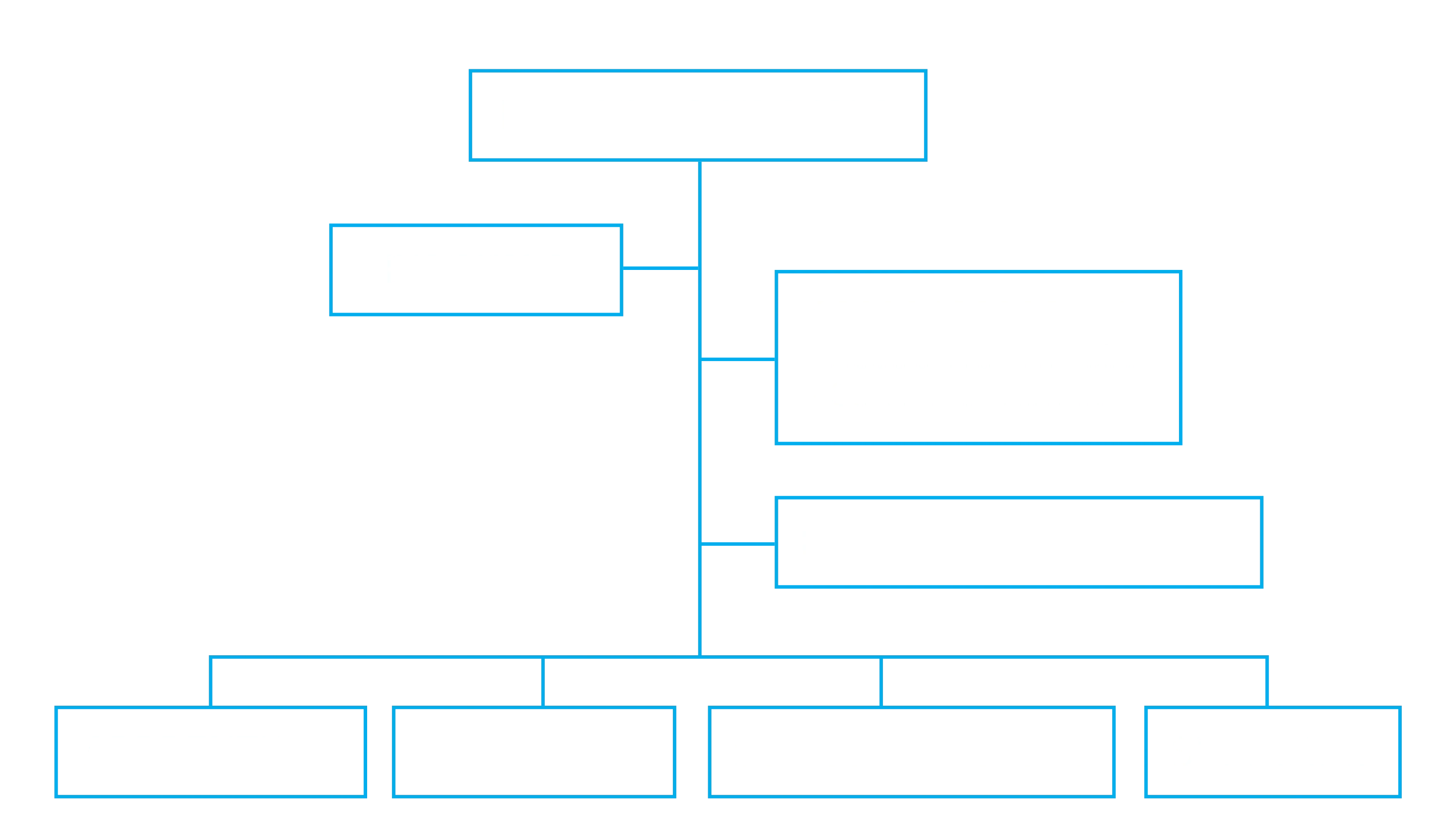 Bear Construction Group TEAM STRUCTURE